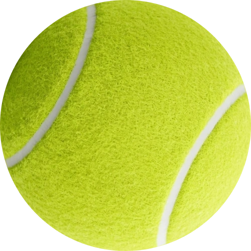 Bet on your favourite tennis players at Parimatch android app.